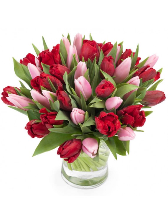 Букет из красных и розовых тюльпанов 35 шт